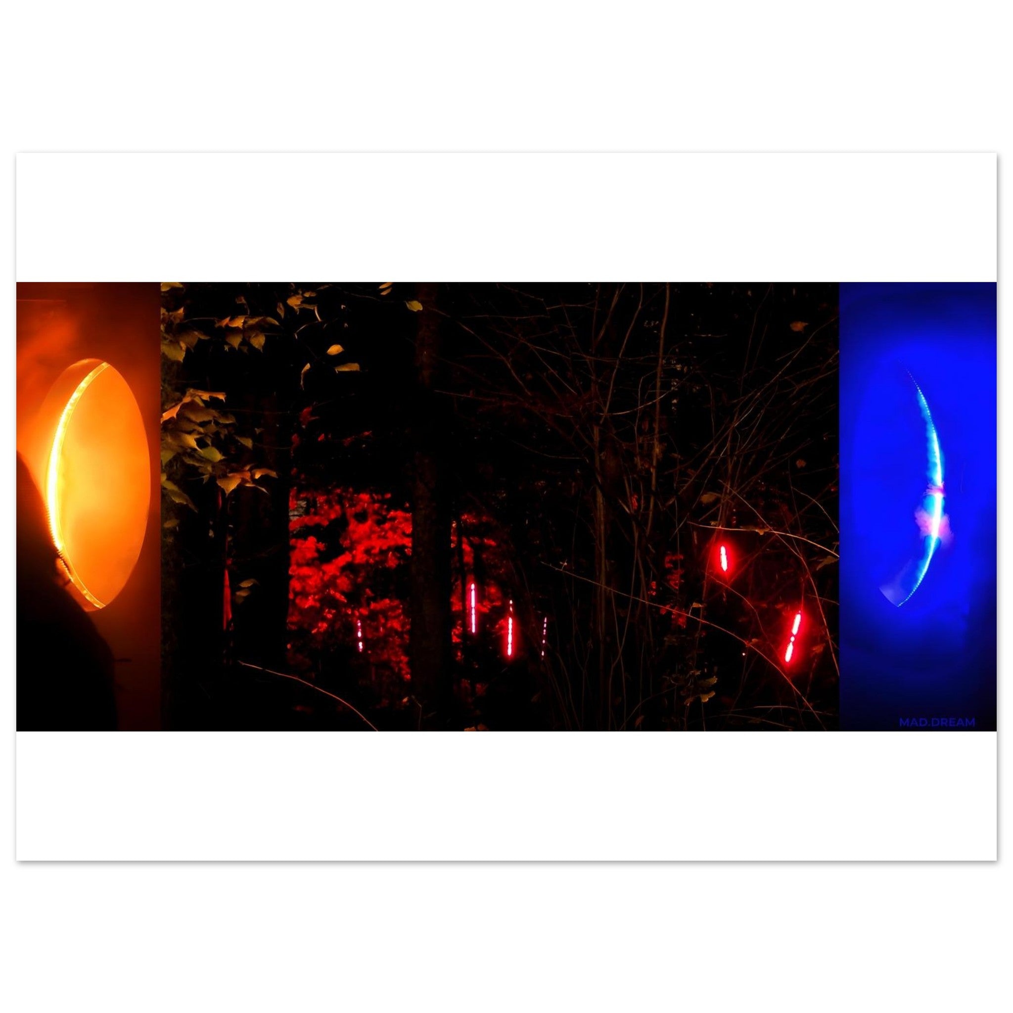 fall collection : photography prints