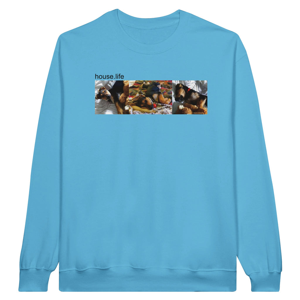 001fe3db-9455-4808-9636-6dc983158550