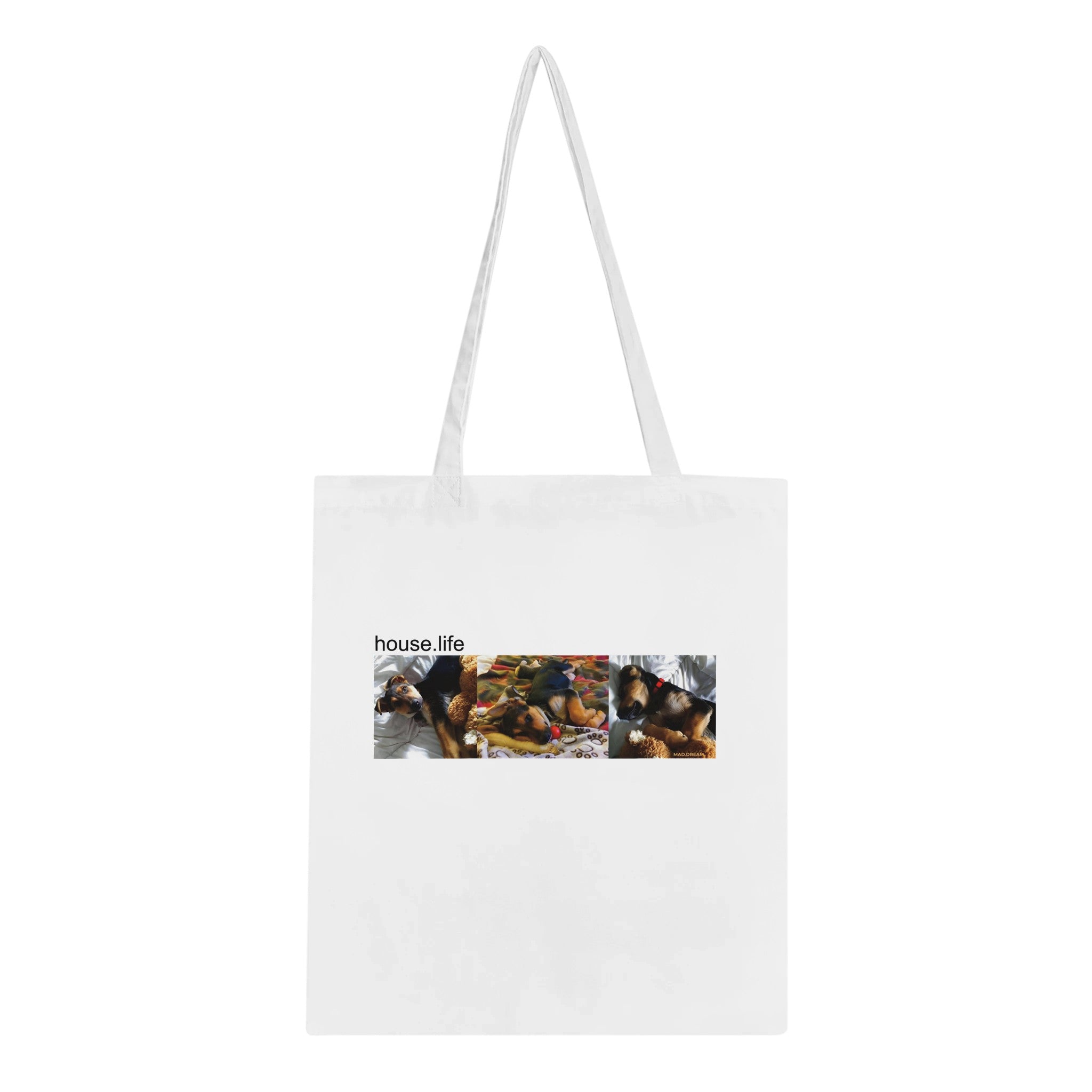 012e65b3-9487-4ff1-8e21-9294ea13061f