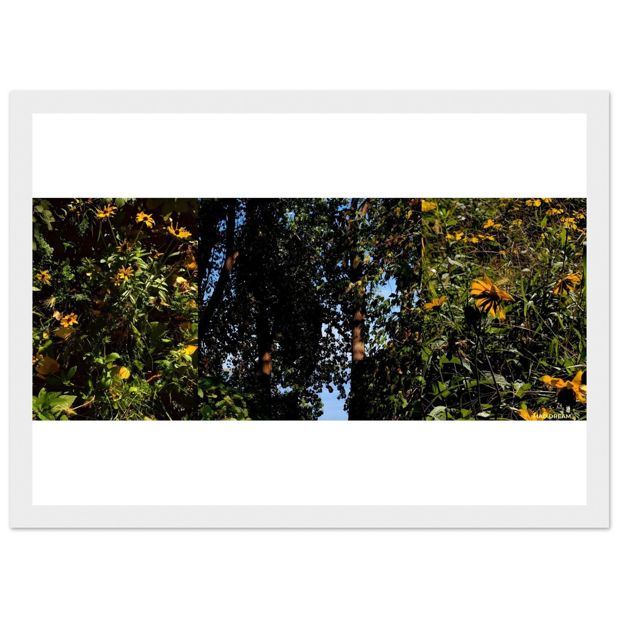 0a879a3d-68a1-43b6-9fb2-74cb12bcc322