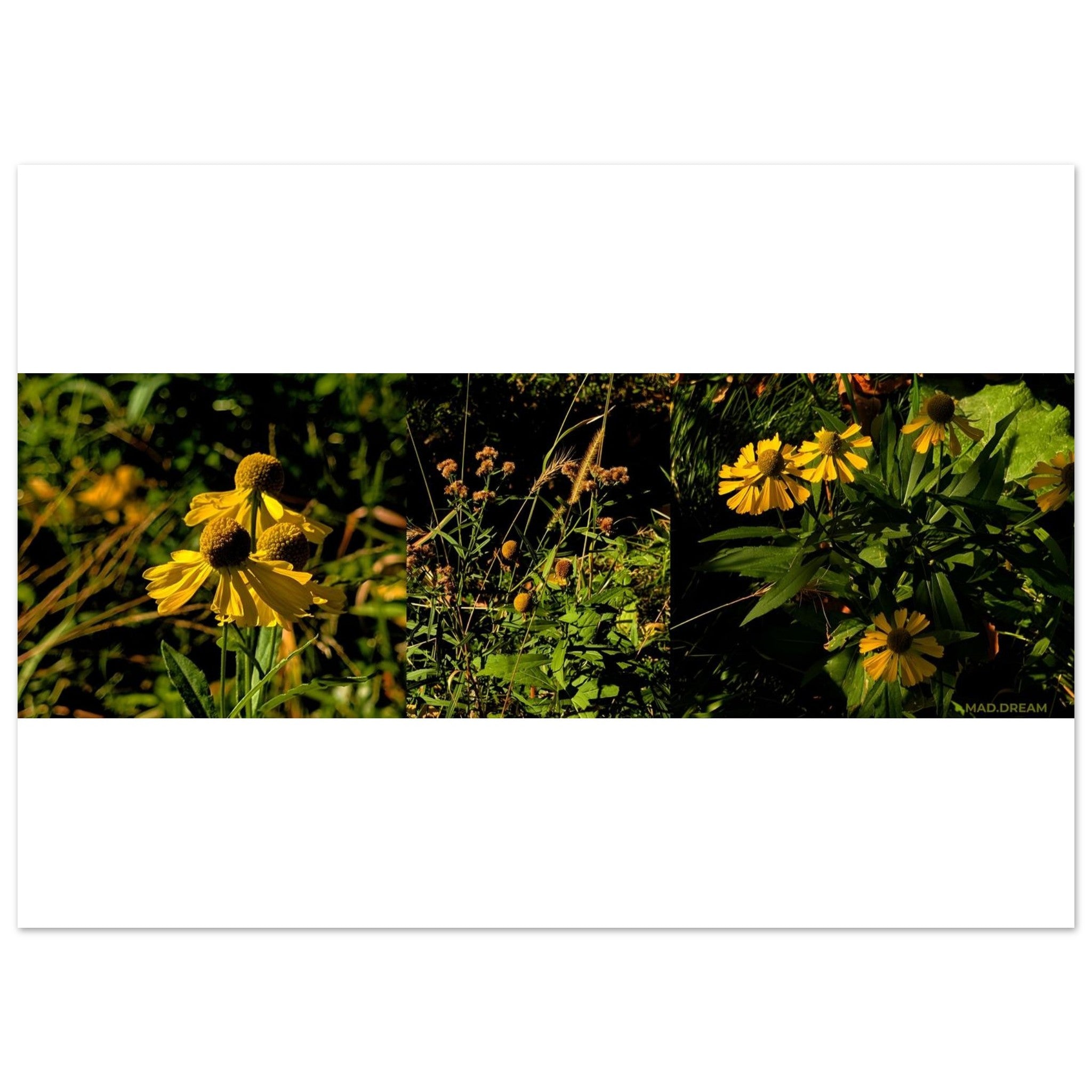 26647d80-c4d0-4498-9a33-3f23f7b12d87