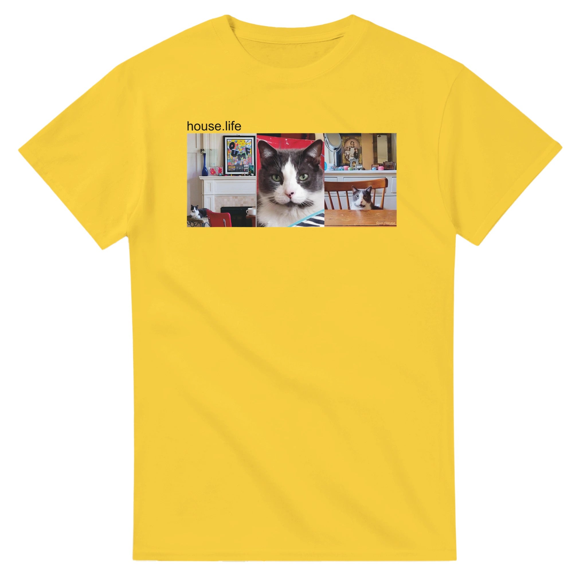 2e33b9e3-2fcf-4900-8b87-4618c1323e45