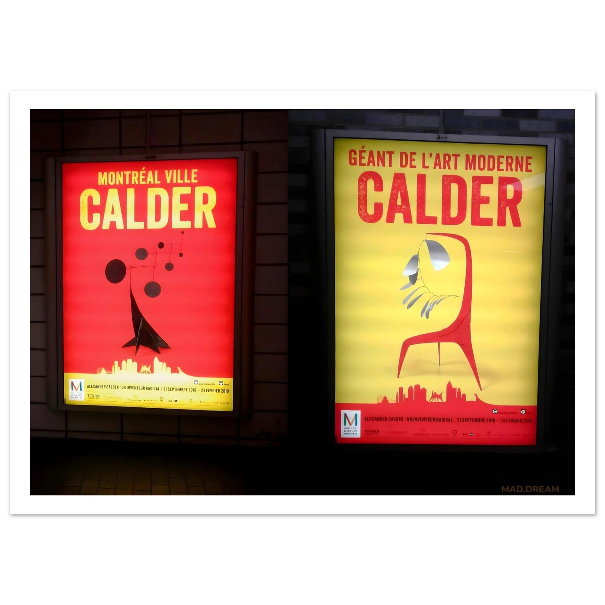 2fbfa2c5-46a7-4344-8b02-b1ab9edb8ea8