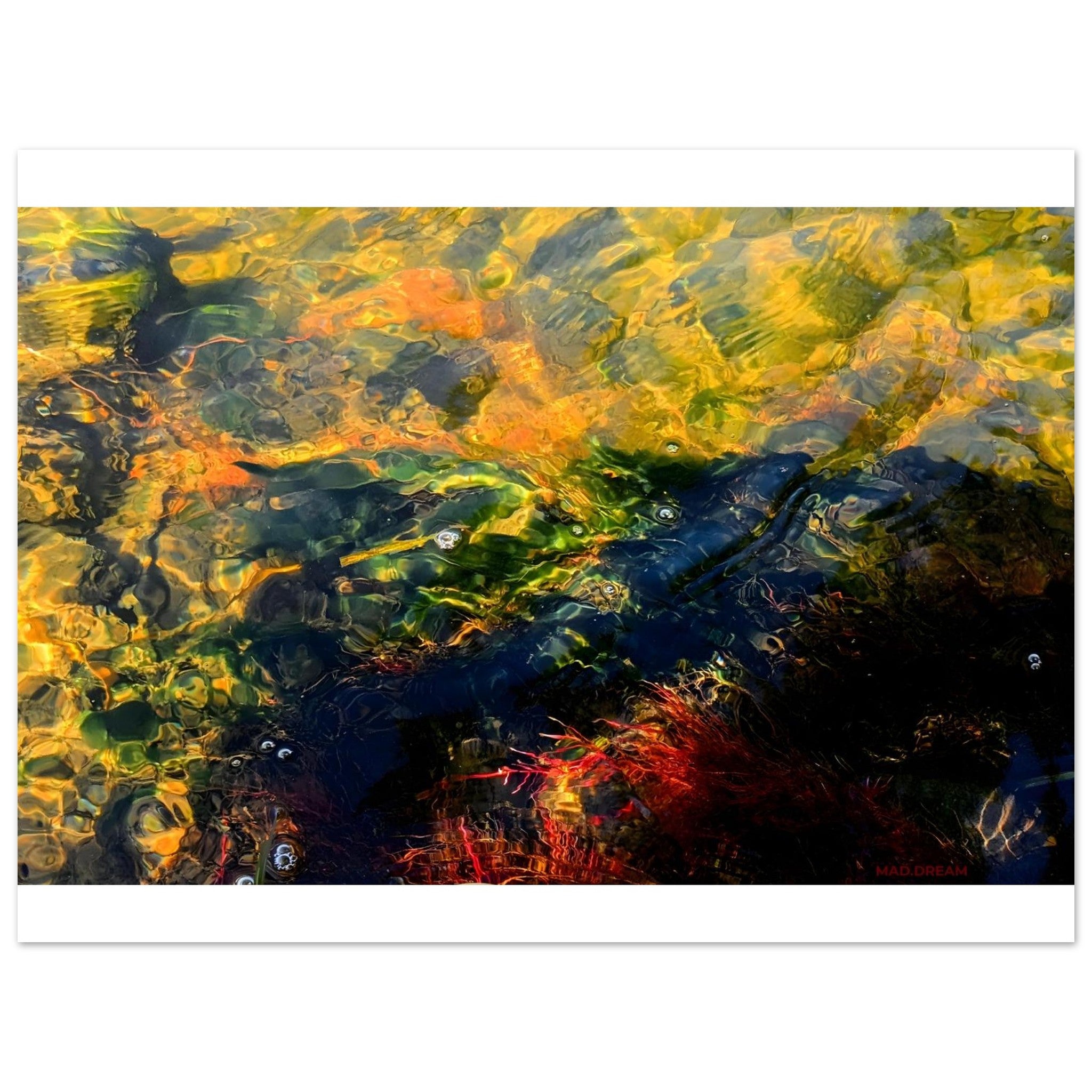 3322bbde-8e9b-4358-ba5f-86319c34e025