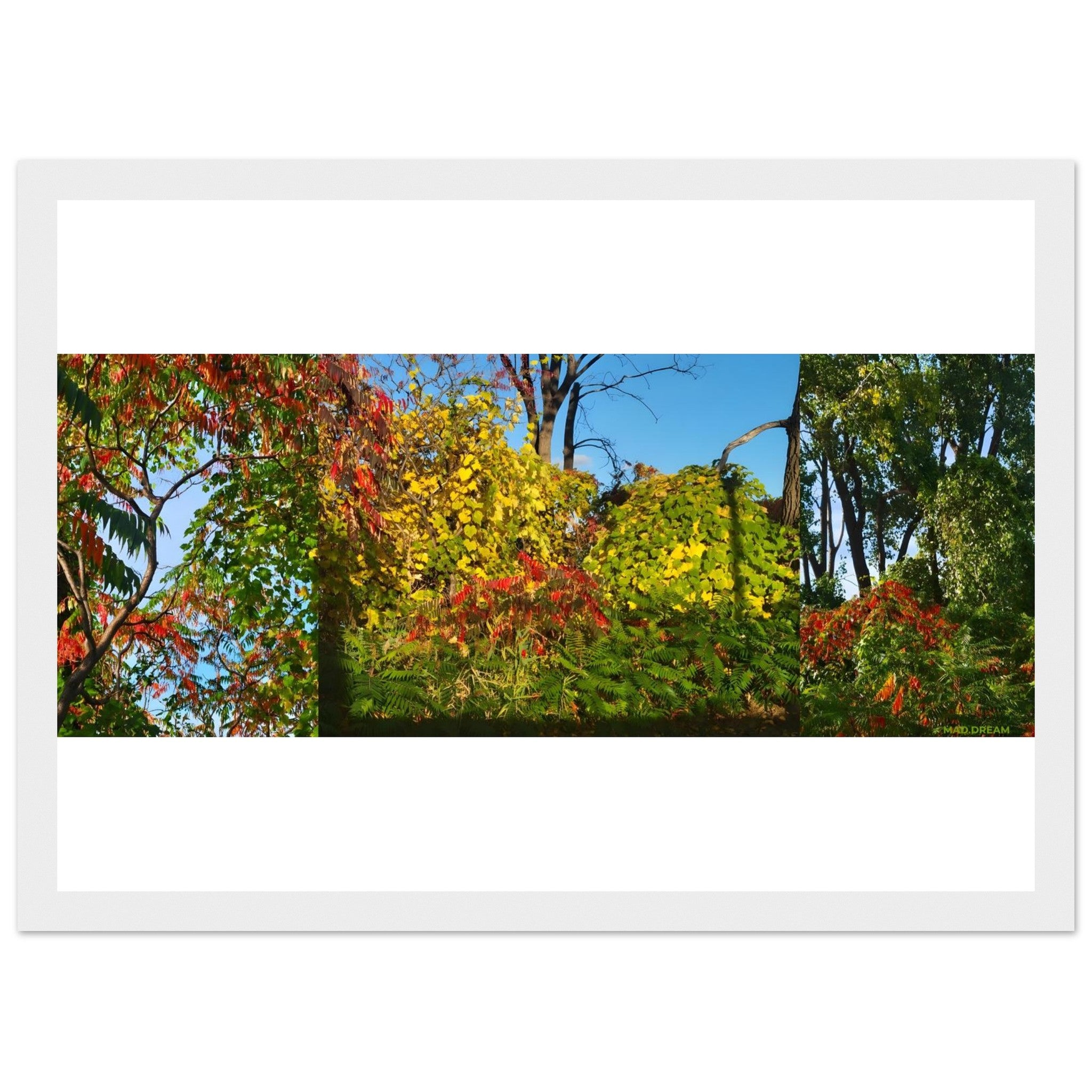 33c86d89-69a6-4eda-963c-2dd16c08f75b