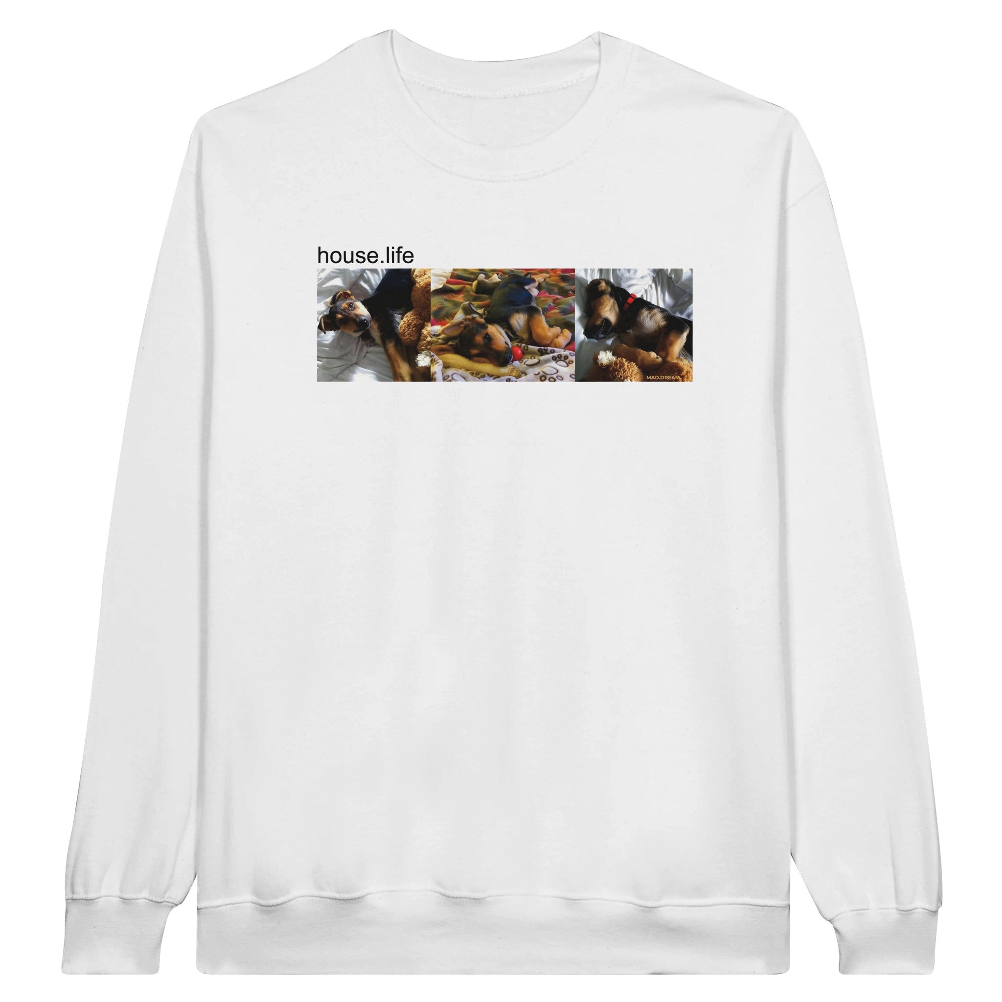 349242fe-cff8-4402-a01c-c16274a000f6