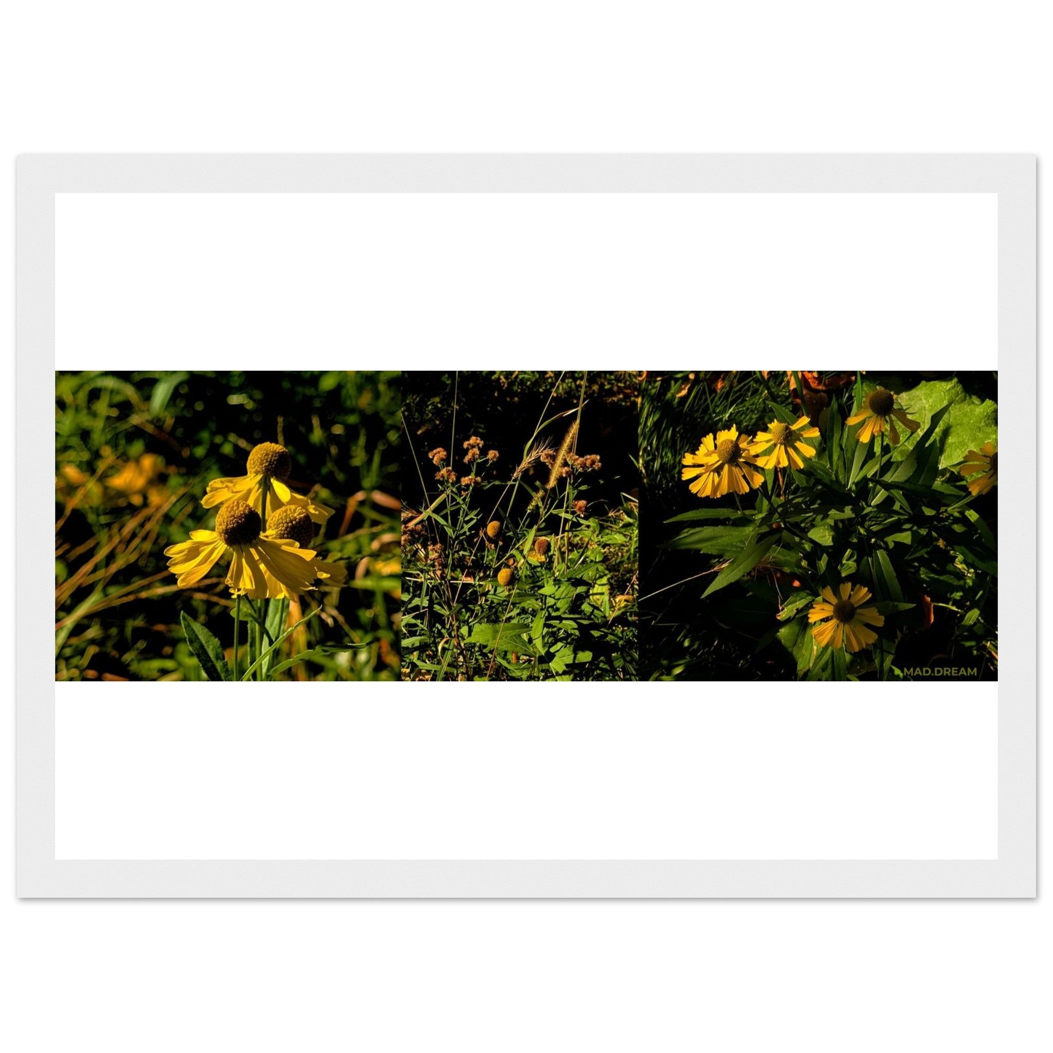 40091a12-7b49-4e78-bbc0-662ec56eeee7