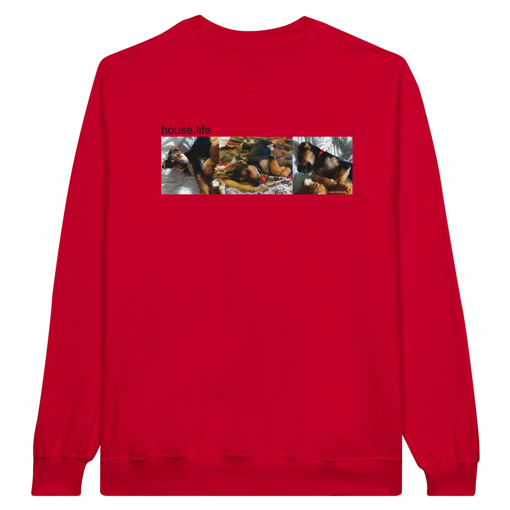 44128847-da63-4ef0-b7c8-fb7dc23afac8