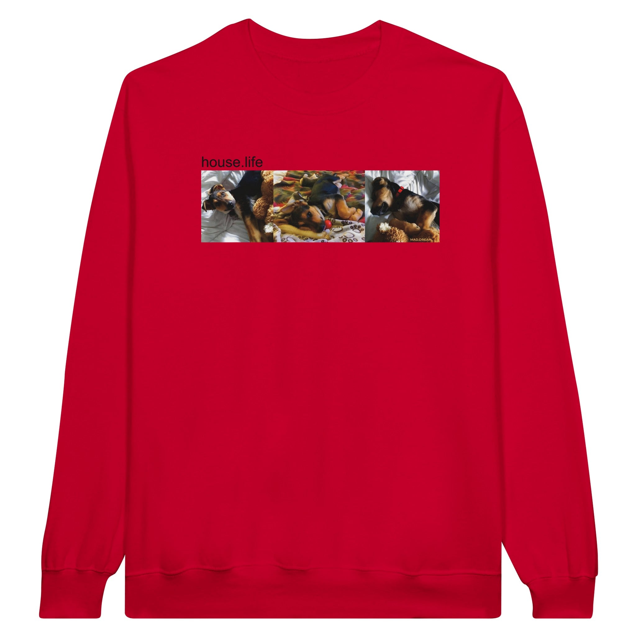 44128847-da63-4ef0-b7c8-fb7dc23afac8