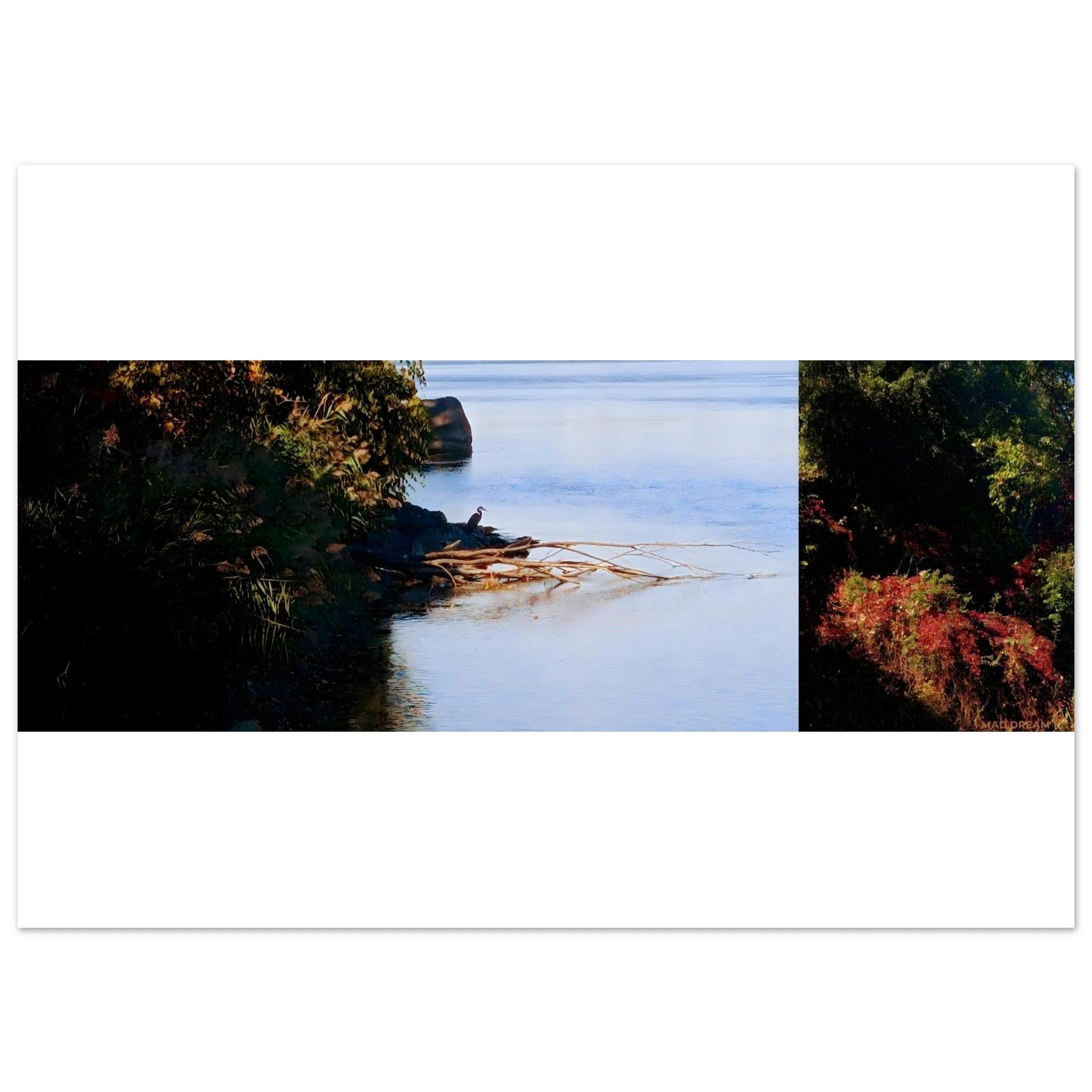 48981cd2-8075-4022-93aa-f0d7e9440947