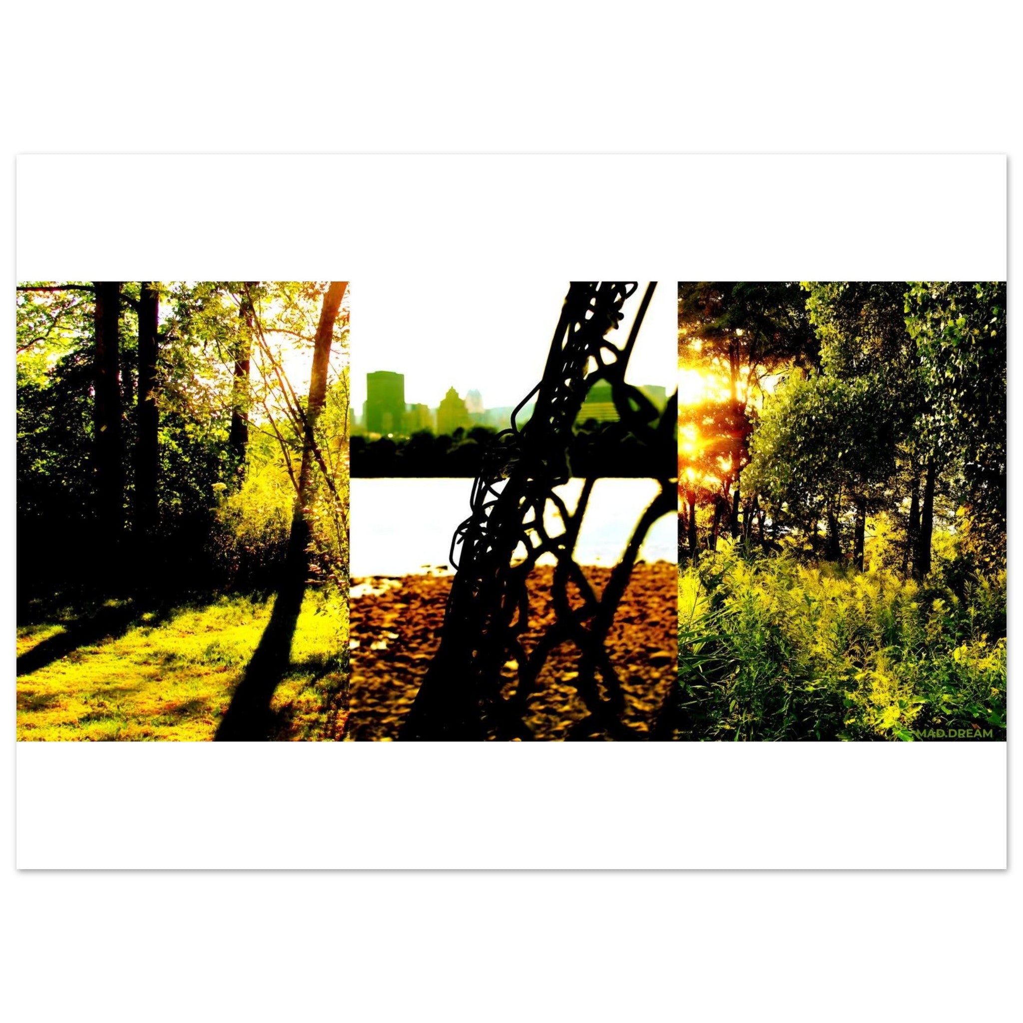 6a2f80bf-300a-4c29-9443-86f52dfd95a5