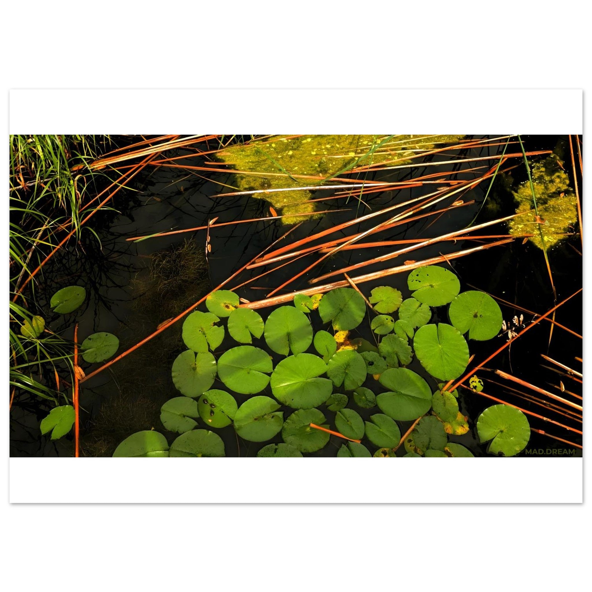 6fa7fabf-f04a-4225-b2ea-6cc1c080a8cf