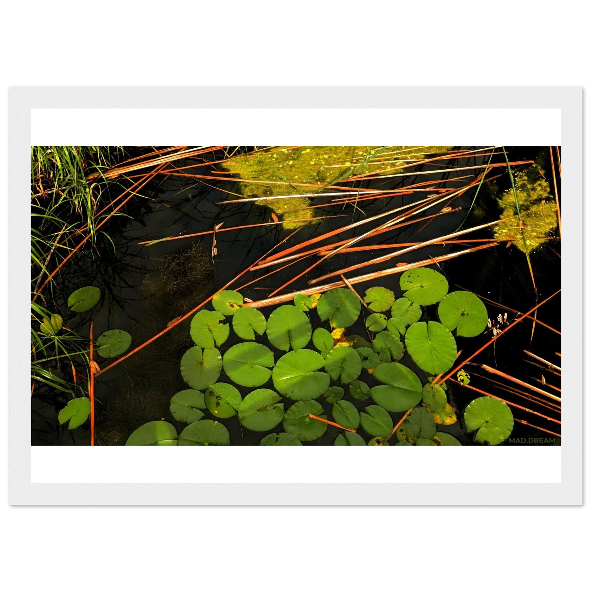 70cc47eb-8940-4d88-b612-f83b1c59e190