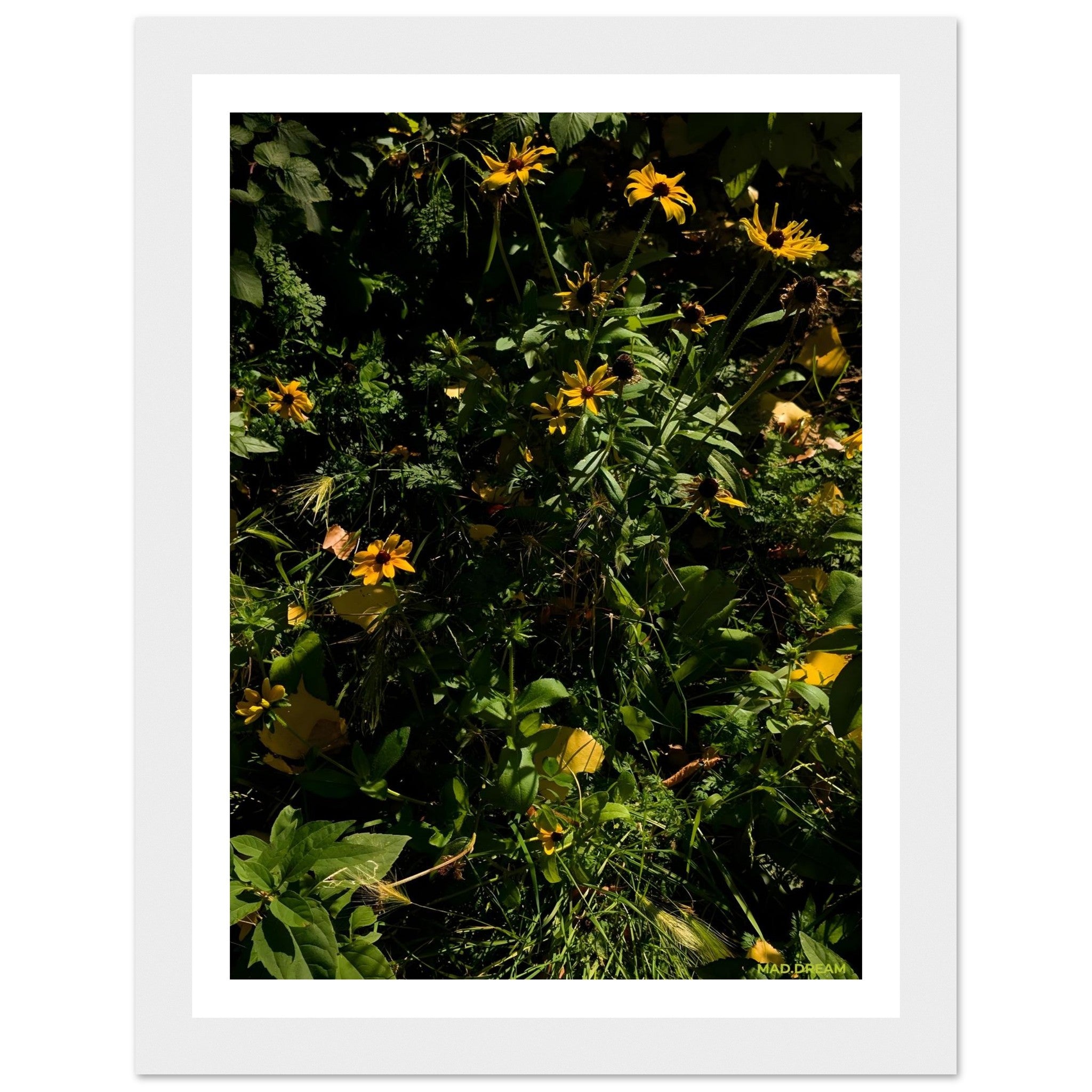 711493be-969c-47fb-ab83-79405ac1bbd9