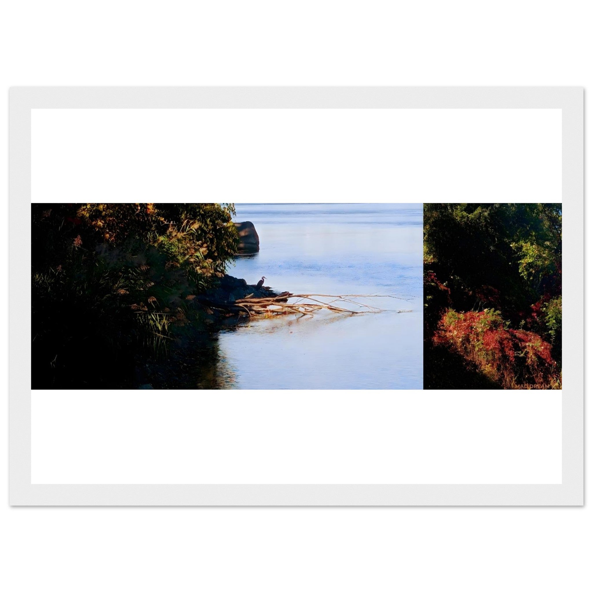 77584847-dea6-4c10-b492-2b65c05e94f0