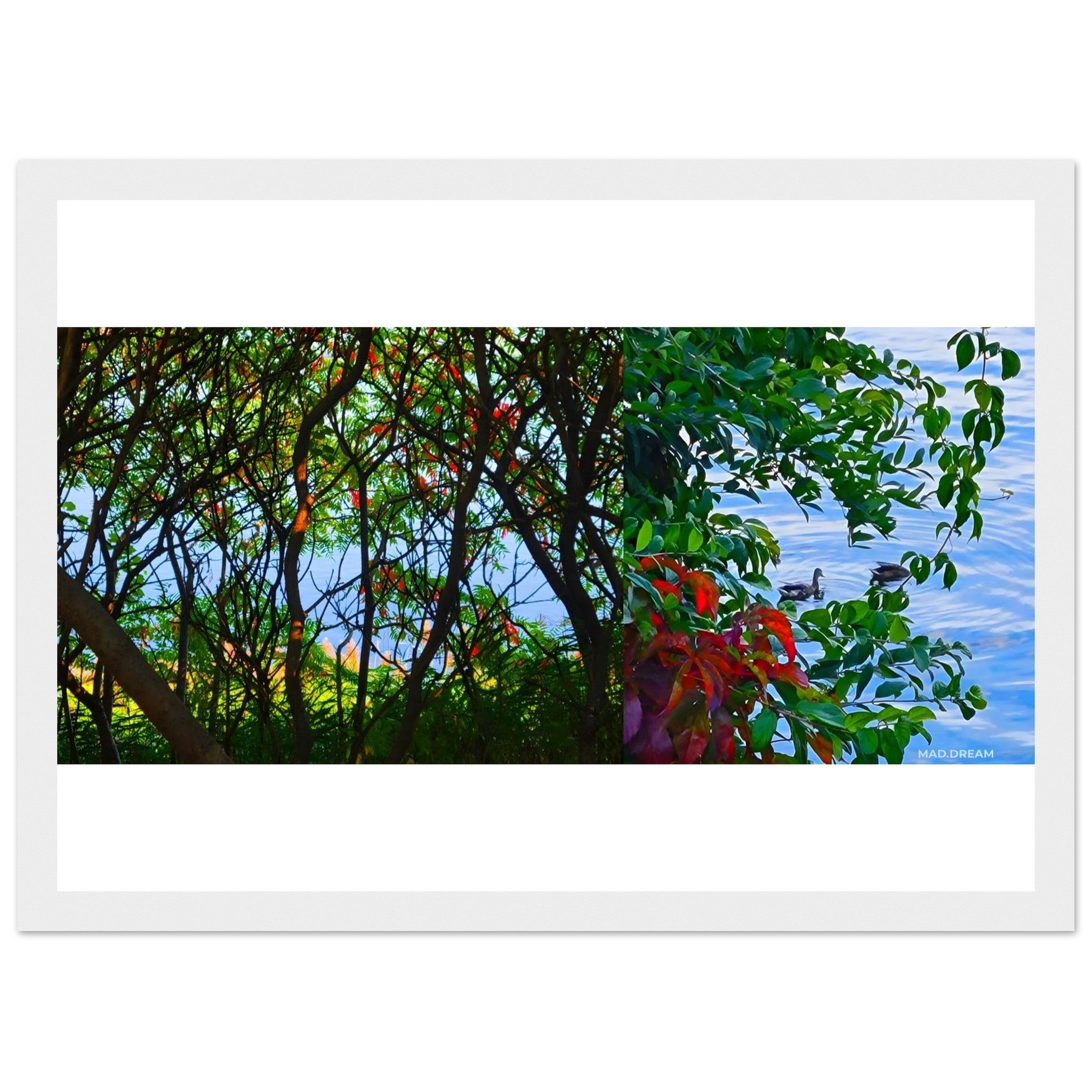 79a3a0d4-0fdd-425c-b60f-2694fababac0