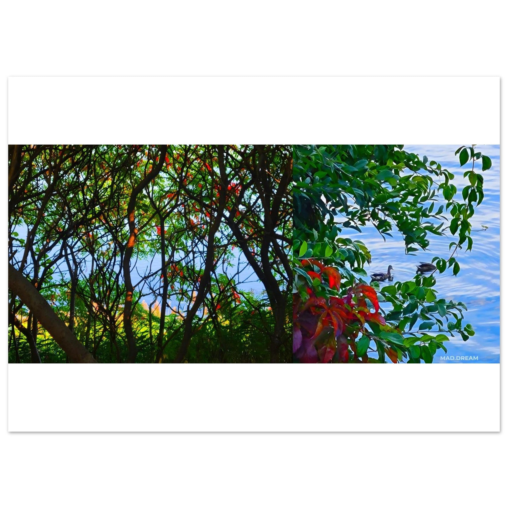 7a7e0b59-91d0-4cef-89fd-ae4915a3e9b1