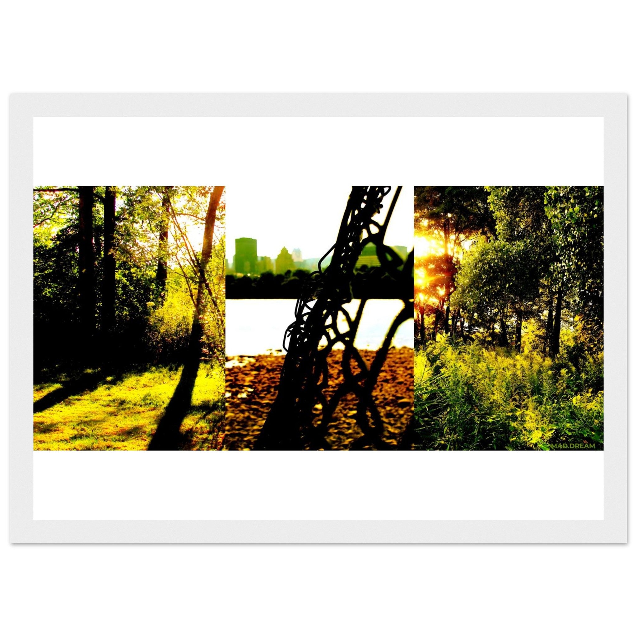 98a72132-265e-4c63-a055-c407d304257e