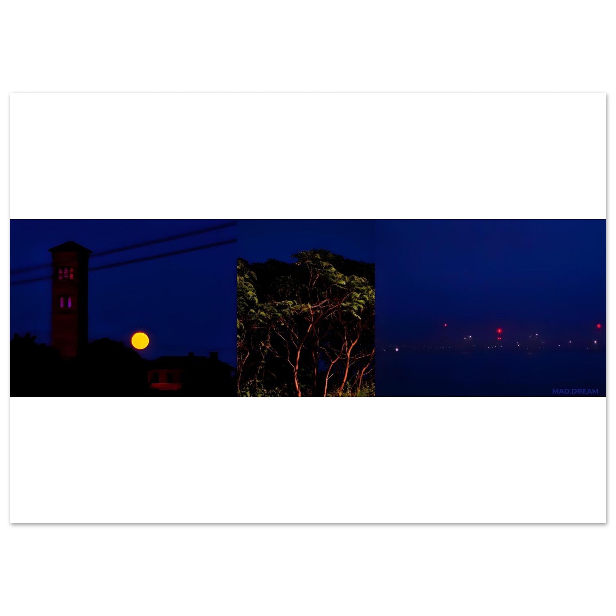 994bfa55-f2f8-4ed3-a692-44368bb497c4