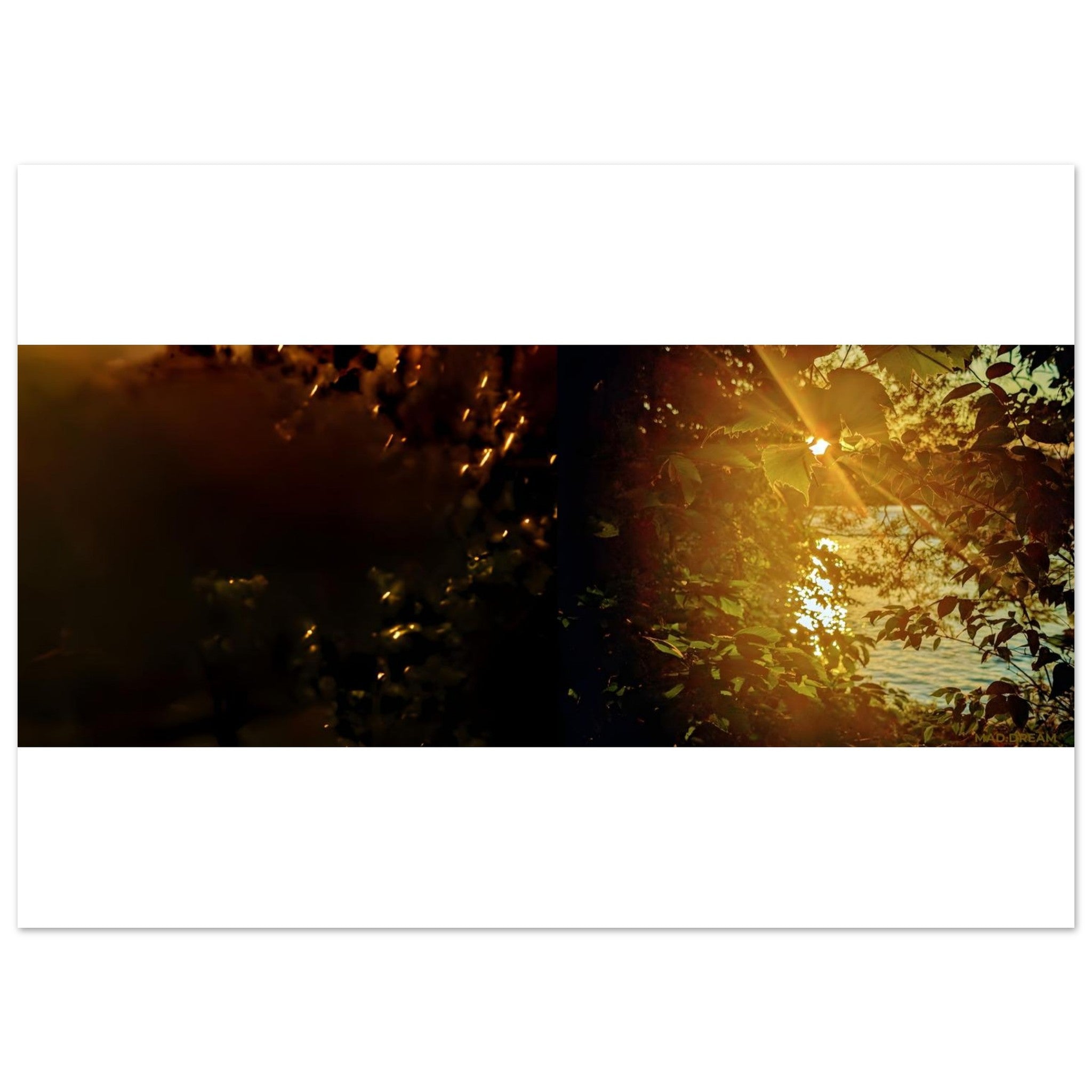 9c0c34b5-3b2a-4e06-86b9-eb151766d101