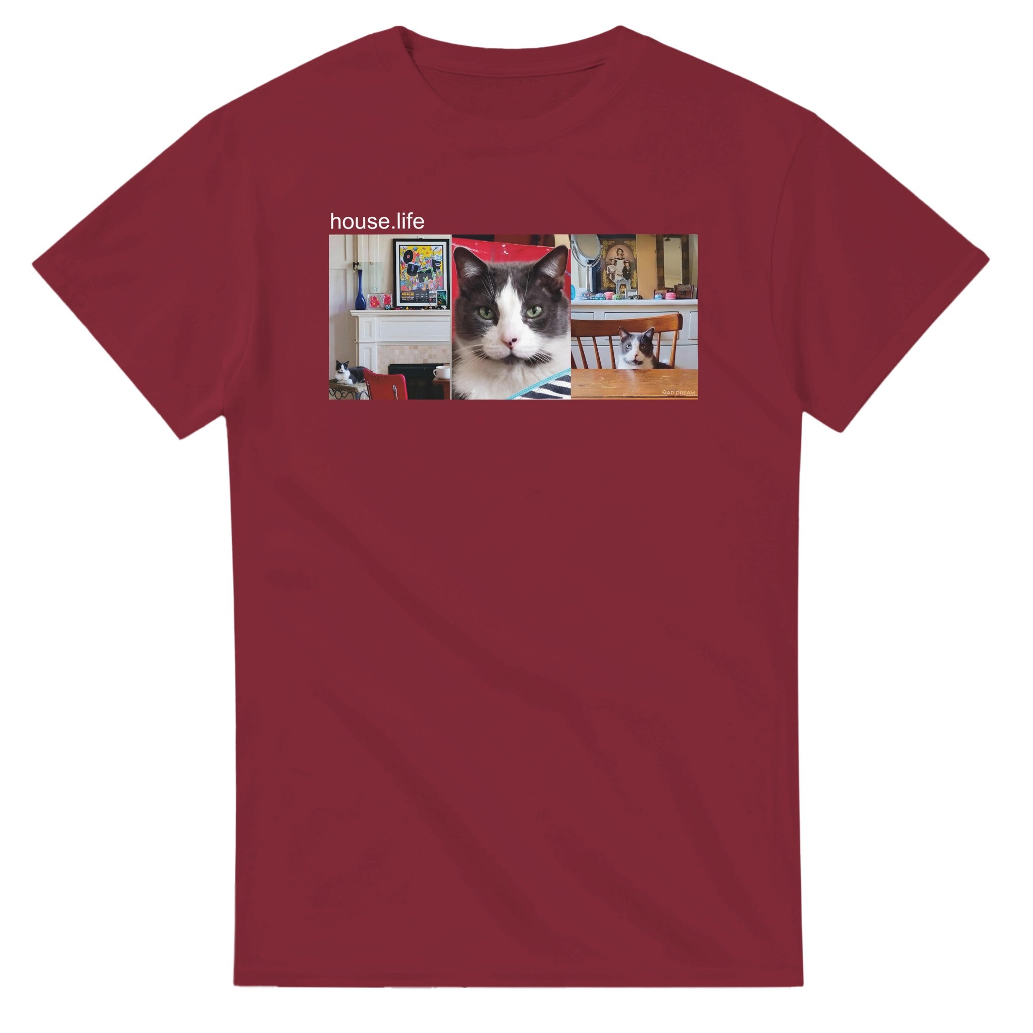 a0907bca-8d7f-41c3-8ed2-427fa5639f25