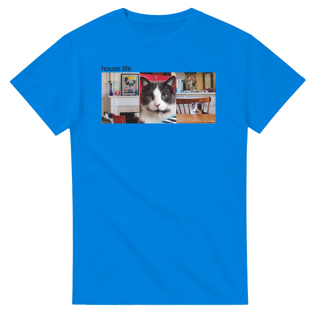 ad10a0e9-0075-4dda-b5bf-15f616d2e157