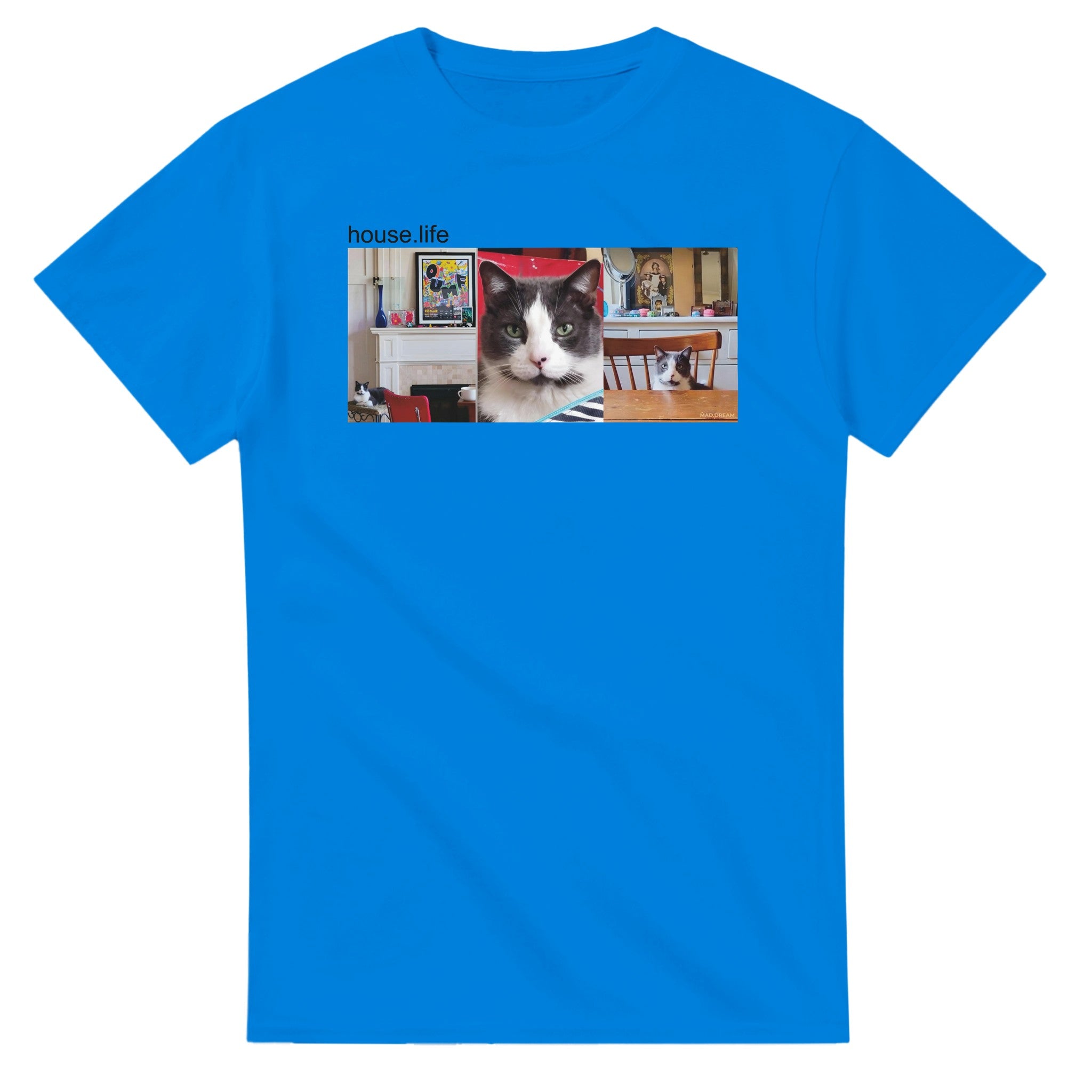 ad10a0e9-0075-4dda-b5bf-15f616d2e157