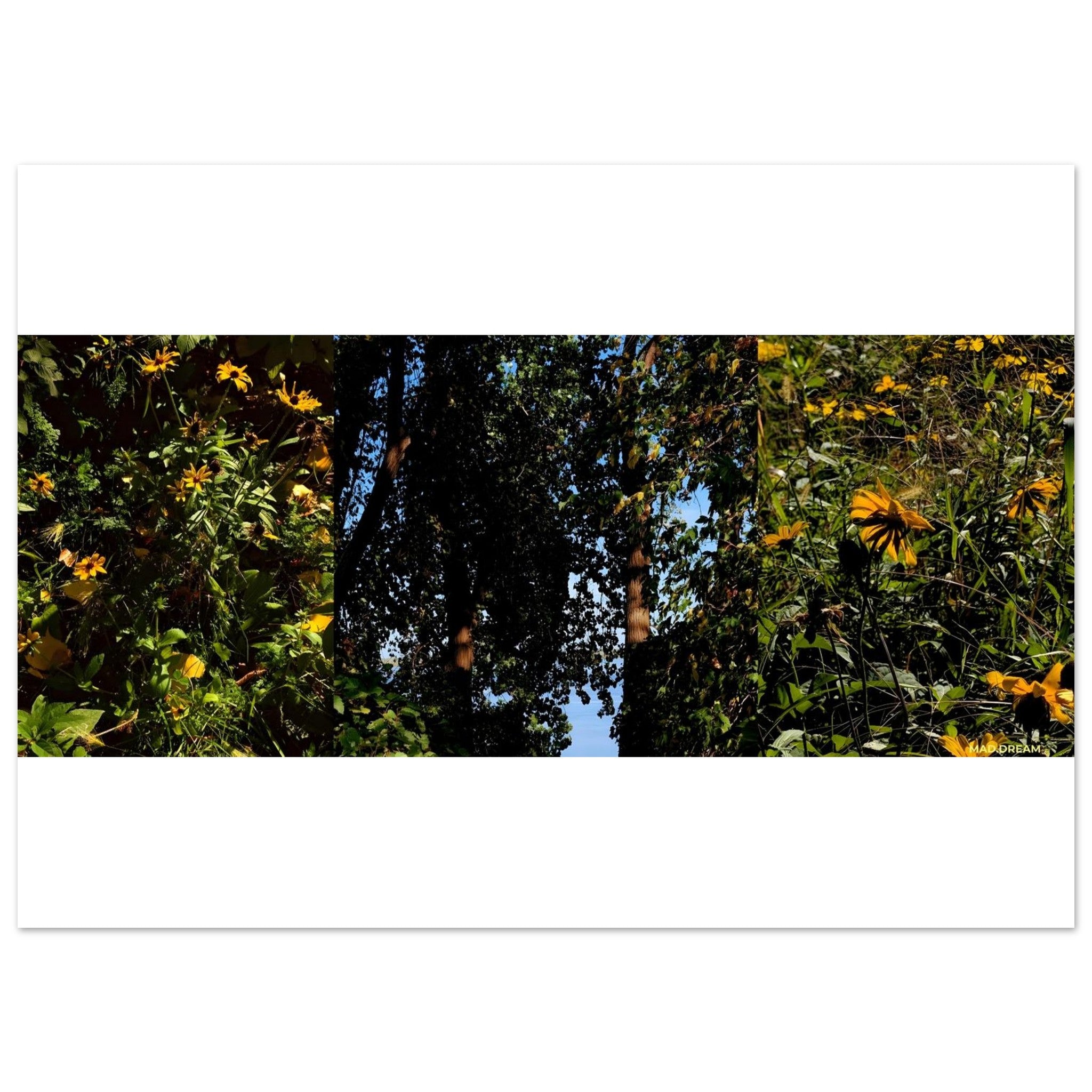 b10a9df0-9c5f-4e9b-835f-5cf3c7132dfa