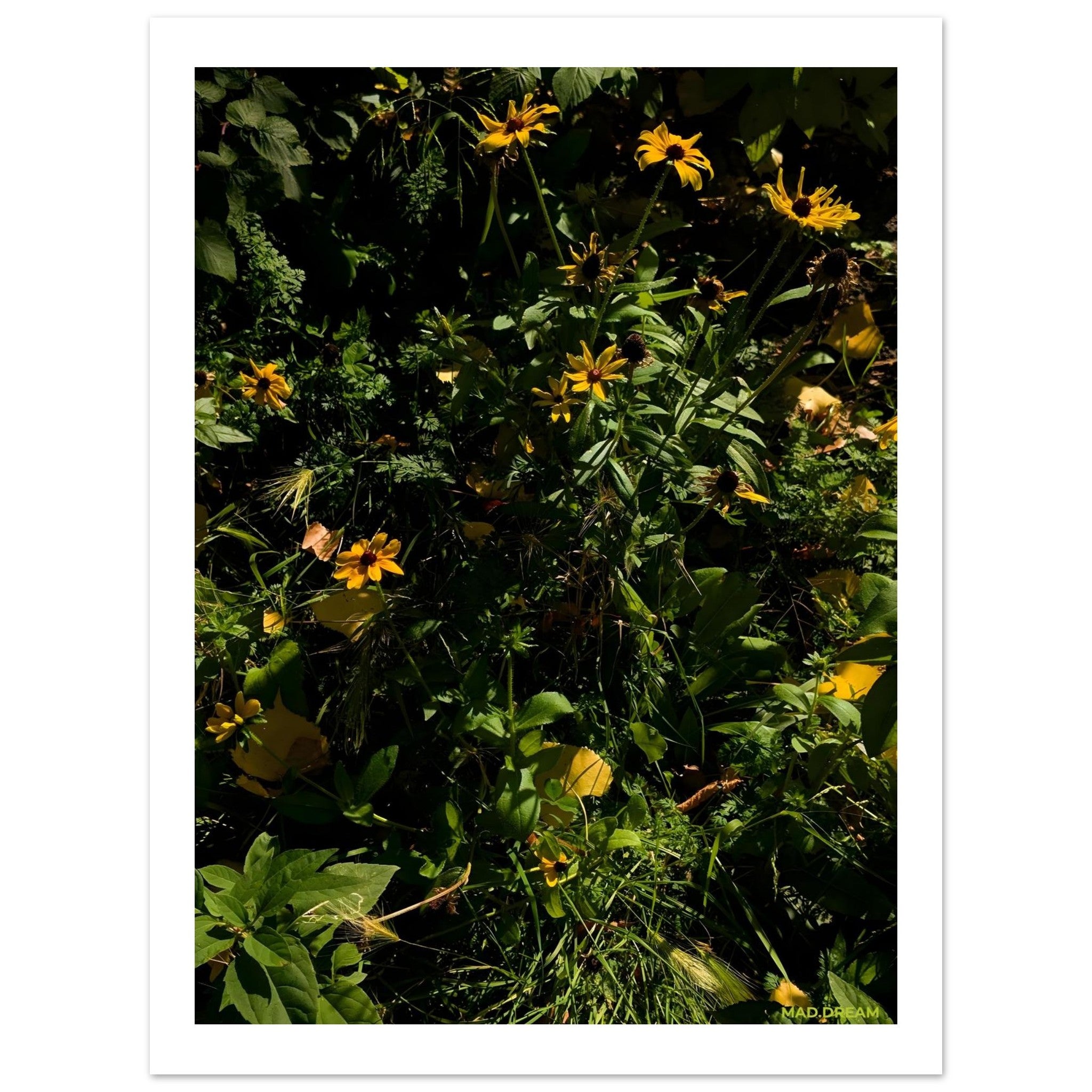 b2721c47-526c-4033-a4c7-e3b7c7324388