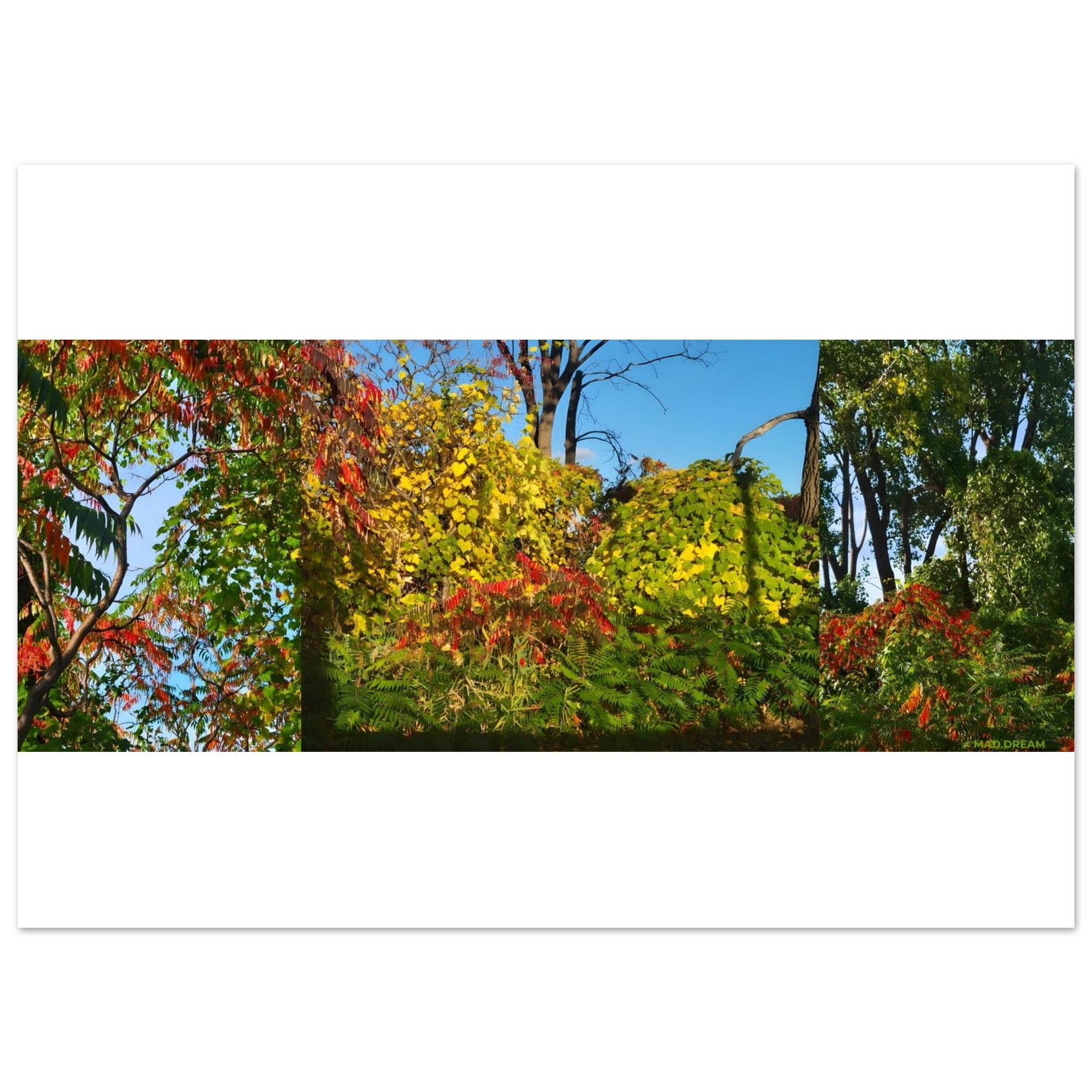 c4bed04a-c670-4f15-befa-6d16065e9aa0