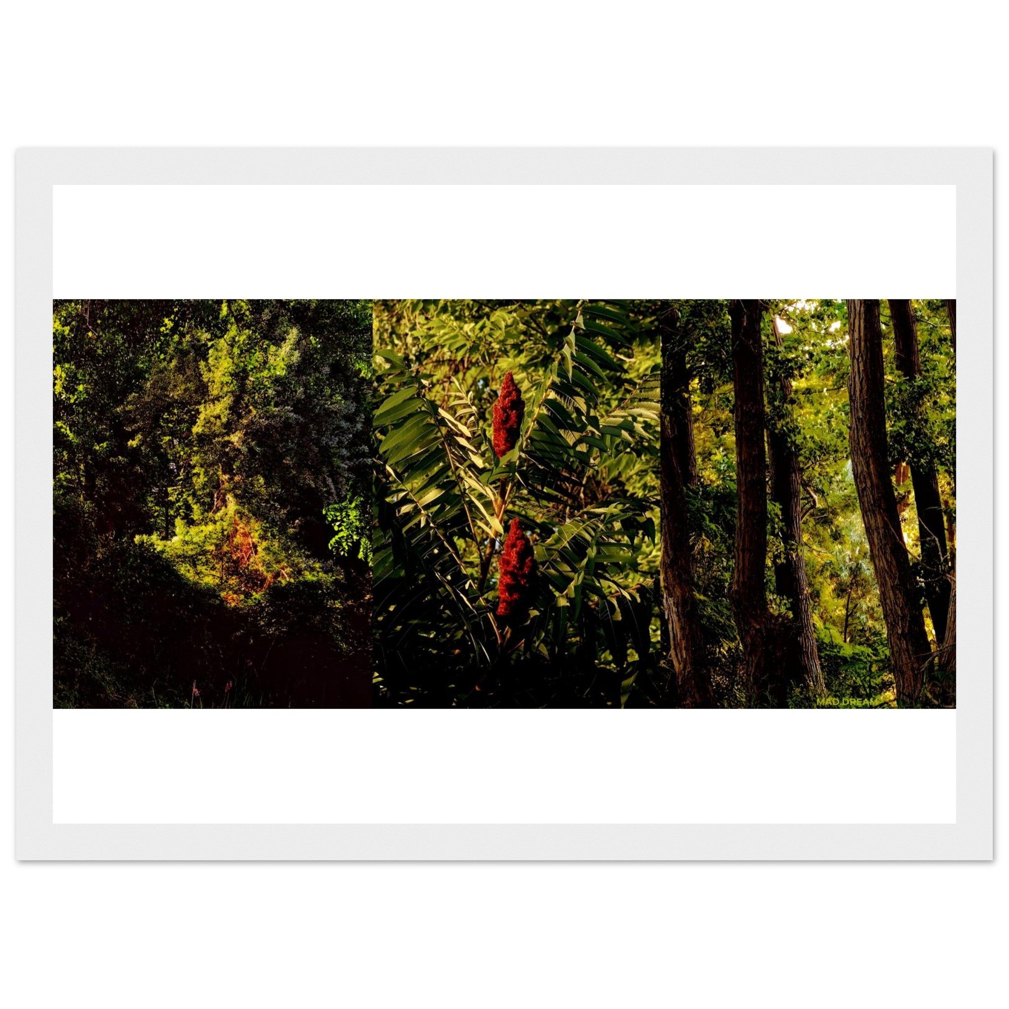 c84aae4d-1d37-49ab-95d8-0073371eaeb9