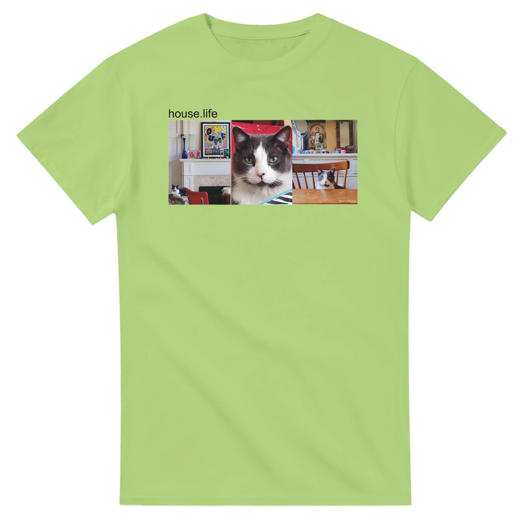 dd80857b-fee9-4c89-84c4-1fdf263b0c6b