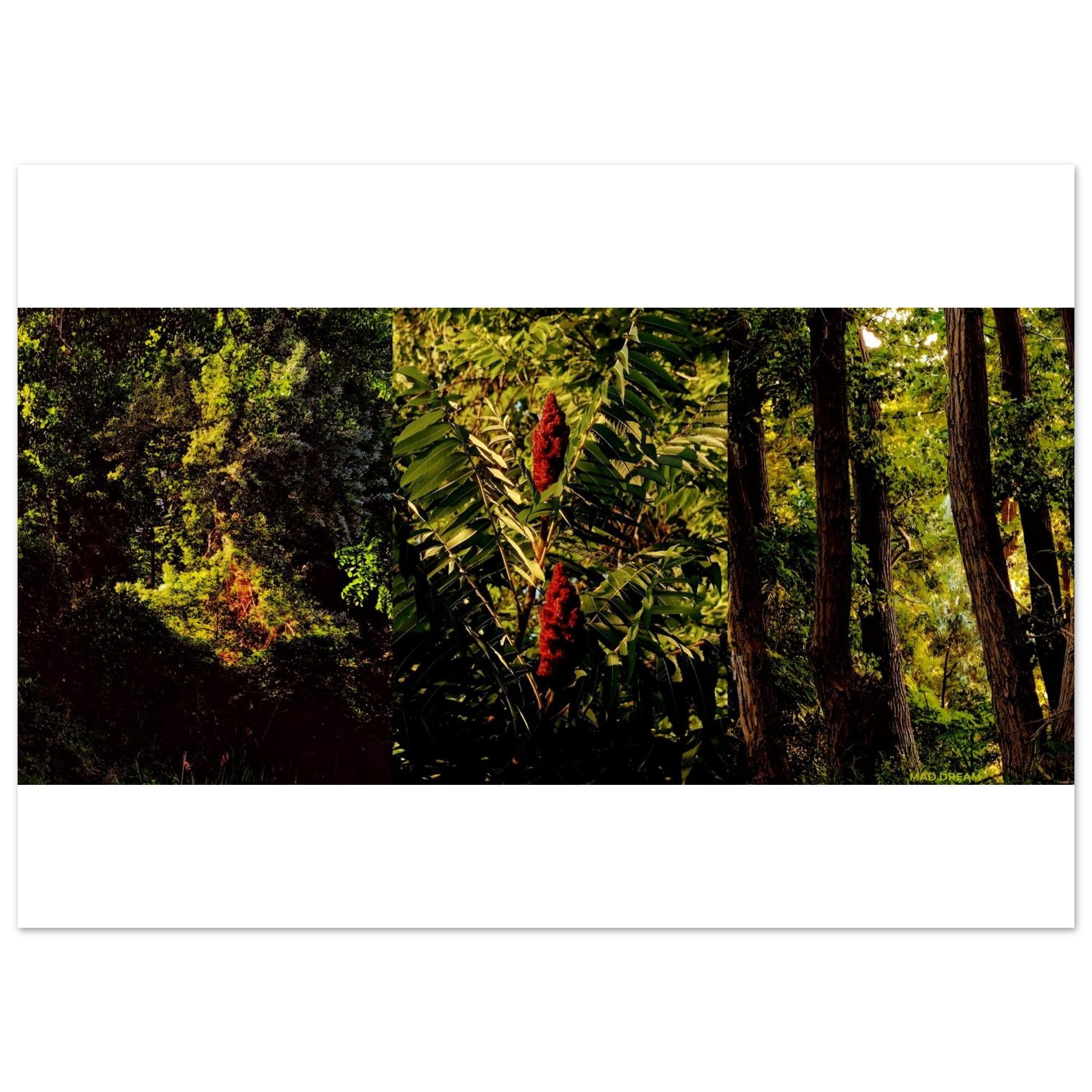 e1999be0-4141-4246-baf1-489e62741ecc