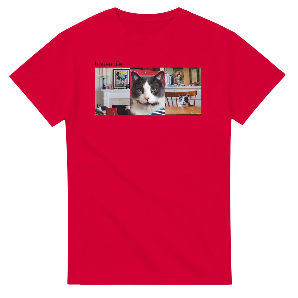 f1c61439-81e1-4a63-b3ad-8f470004fc73